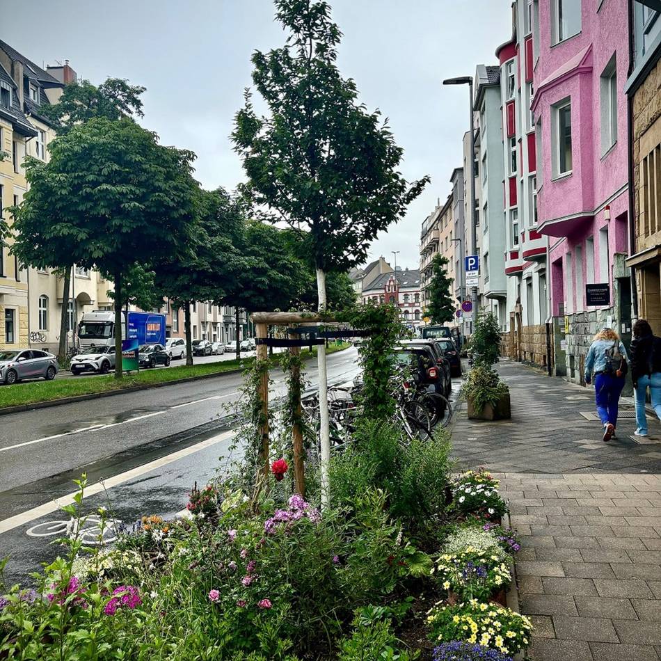 Umwelt in Düsseldorf : Schöne Baumscheiben in Flingern und Düsseltal gesucht