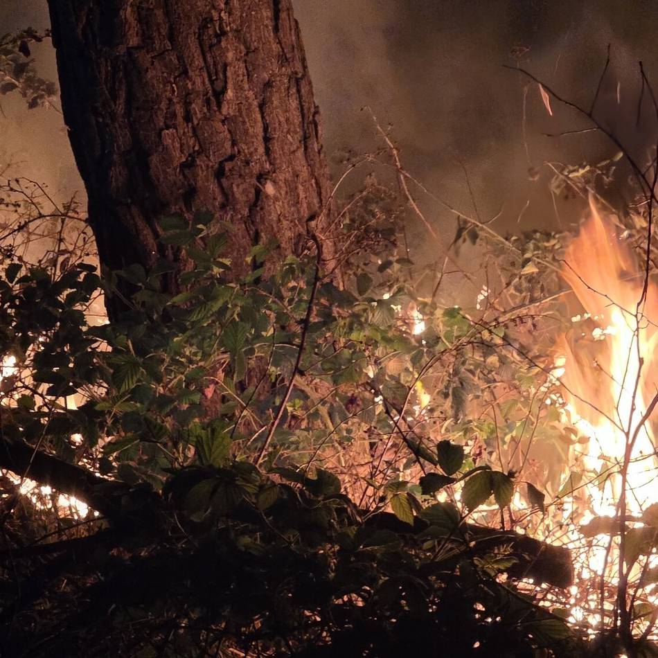 Polizei ist auf Zeugen angewiesen: Sechs Waldbrände rund um Straelen – der Beginn der nächsten Brandserie?