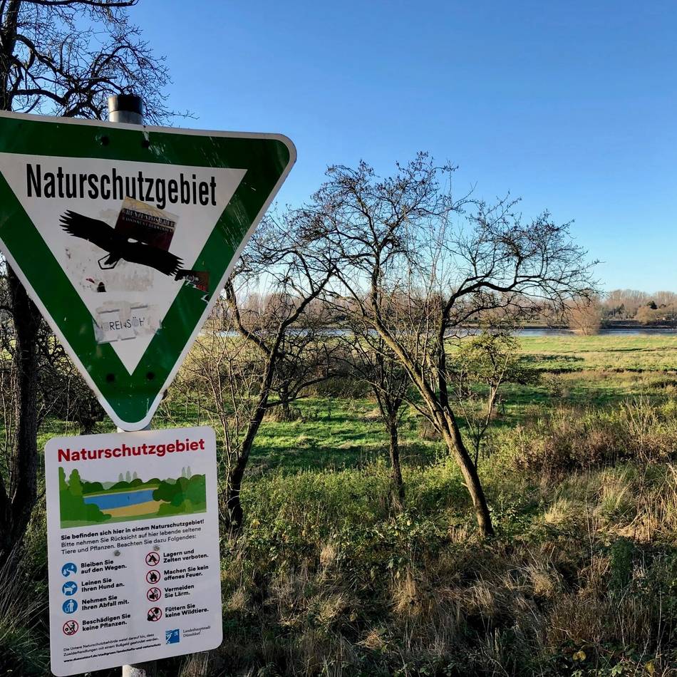 Naturschutzgebiet in Düsseldorf: Exkursion führt Teilnehmer durch die Urdenbacher Kämpe