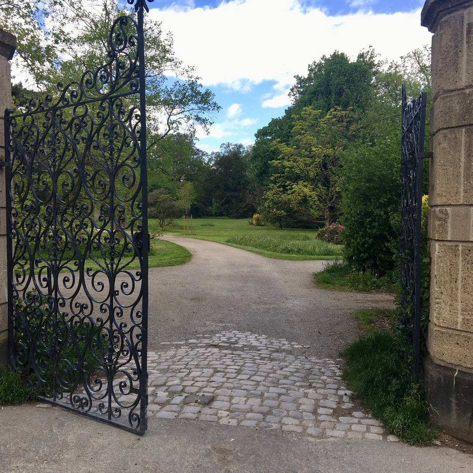 Naturführungen im Mai: Diese Touren in Düsseldorf lohnen sich jetzt