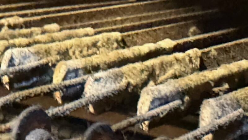 Instrument in der Kerzenkapelle soll restauriert wird: Kerzenruß und Taubenmist setzen der Orgel in Kevelaer zu