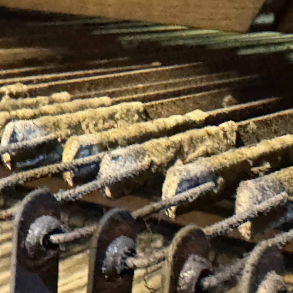 Instrument in der Kerzenkapelle soll restauriert wird: Kerzenruß und Taubenmist setzen der Orgel in Kevelaer zu