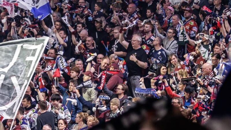 Eisbären-Verantwortliche reagieren: Mit Fahnenstangen und Glasflaschen – Berliner Eishockeyfans überfallen Kölner Bus