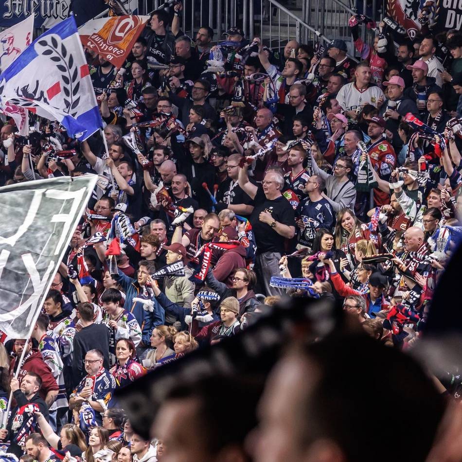 Eisbären-Verantwortliche reagieren: Mit Fahnenstangen und Glasflaschen – Berliner Eishockeyfans überfallen Kölner Bus