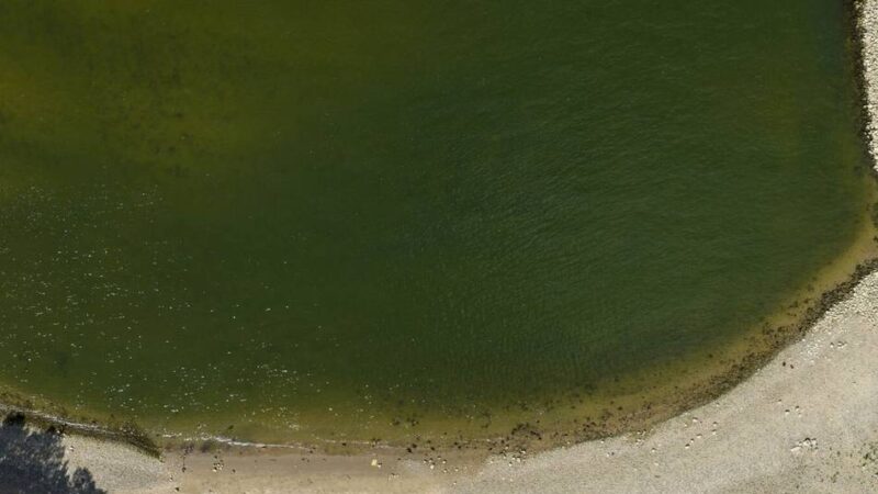 Rhein bei Emmerich: Stadt plant Badeverbot nach tödlichen Unfällen