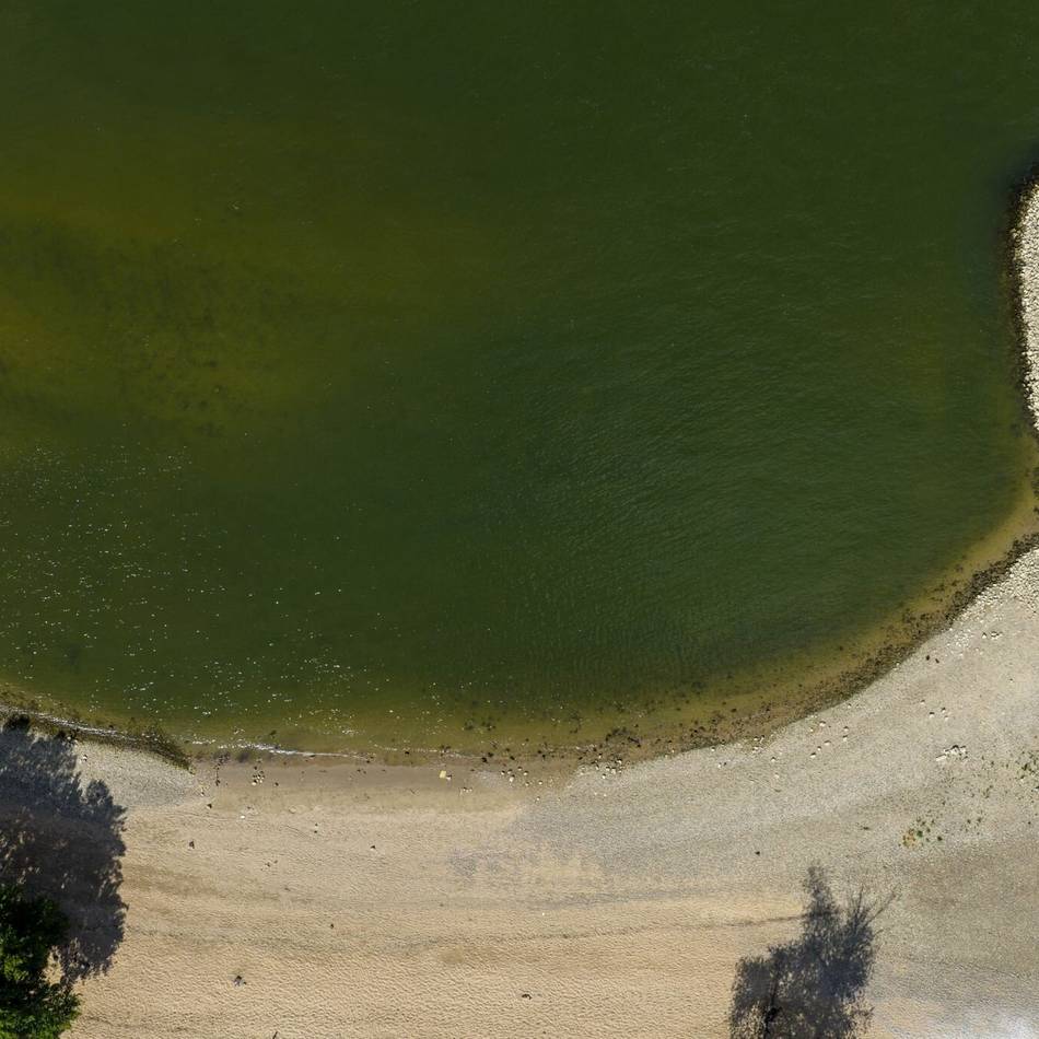 Rhein bei Emmerich: Stadt plant Badeverbot nach tödlichen Unfällen