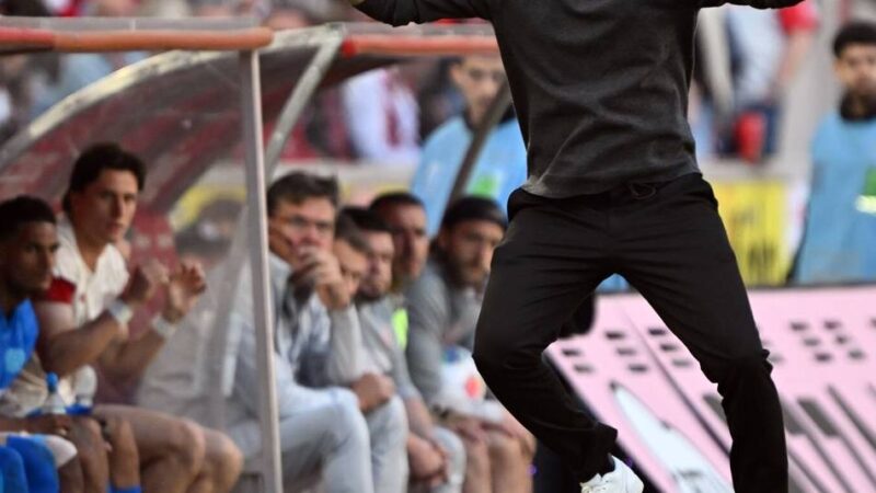 Kölns Trainer kontert: Darum ärgerte sich Hjulmand über den Rasen in Köln