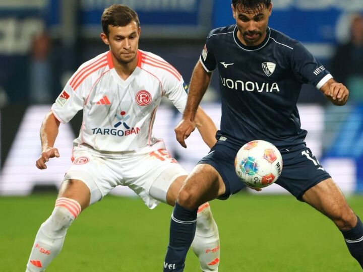 Tabellenführer in diesem Jahr fast unschlagbar: Der bisher einzige Weg, Schalke zu besiegen – Fortuna hat zwei Optionen