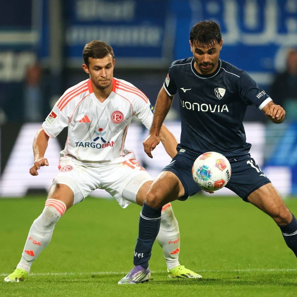 Tabellenführer in diesem Jahr fast unschlagbar: Der bisher einzige Weg, Schalke zu besiegen – Fortuna hat zwei Optionen