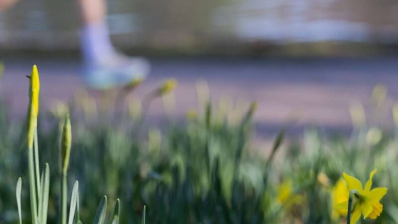 Laufsaison gestartet: Mit Athletik Waldniel auf den Marathon vorbereiten