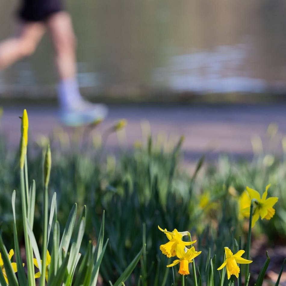 Laufsaison gestartet: Mit Athletik Waldniel auf den Marathon vorbereiten