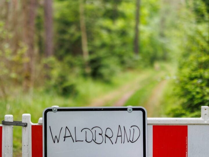 Trockenheit im Kreis Mettmann: Waldbrandgefahr steigt – Feuerwehren sind vorbereitet