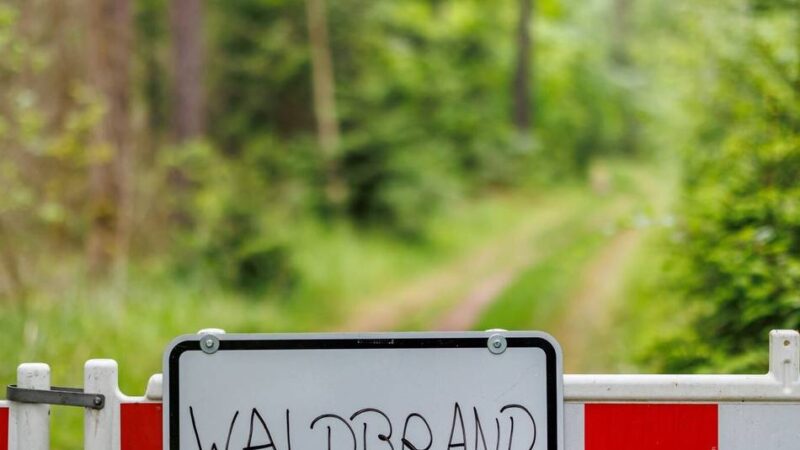 Trockenheit im Kreis Mettmann: Waldbrandgefahr steigt – Feuerwehren sind vorbereitet