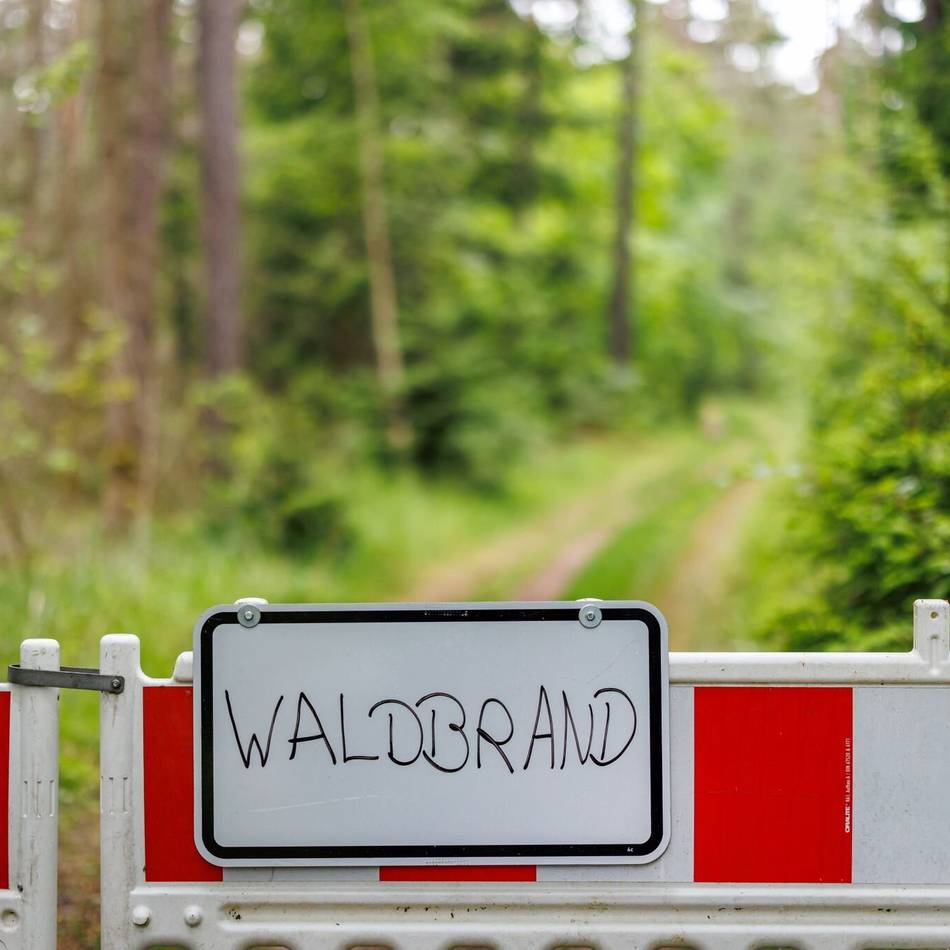 Trockenheit im Kreis Mettmann: Waldbrandgefahr steigt – Feuerwehren sind vorbereitet