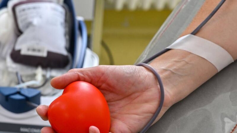 Termine in der Region: Zahl der Blutspender erneut leicht gesunken