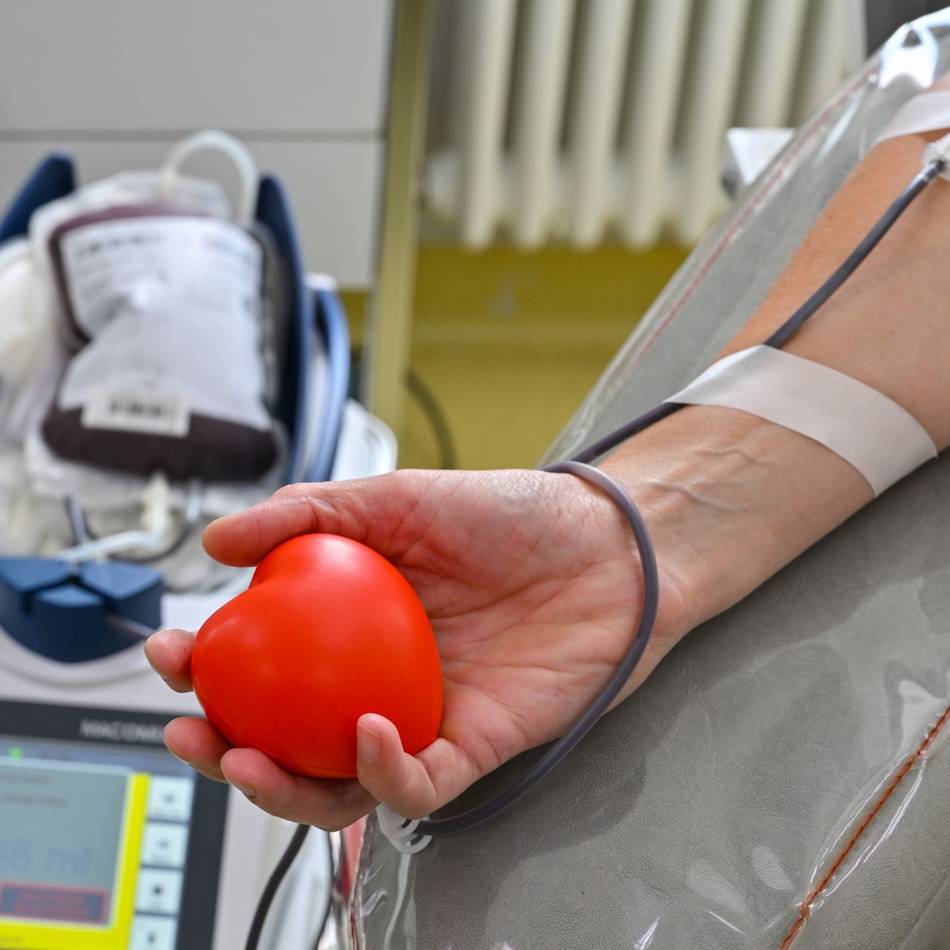 Termine in der Region: Zahl der Blutspender erneut leicht gesunken