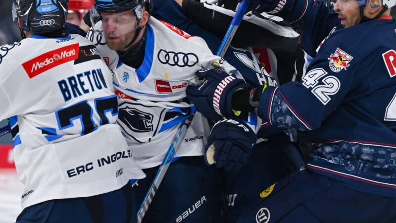 „Nicht kapiert“: Weiter böses Blut im bayerischen Play-off-Derby