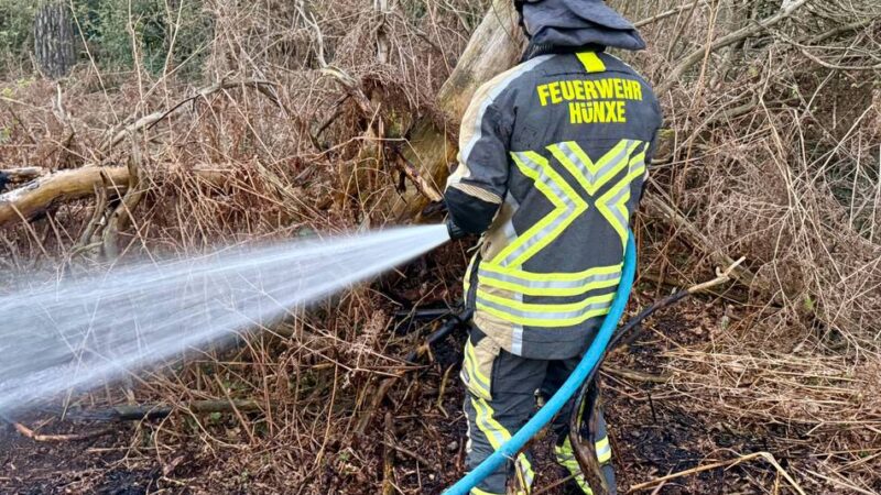 In Hünxe-Bruckhausen: Grasbrand im Wald – Feuerwehr zur Stelle