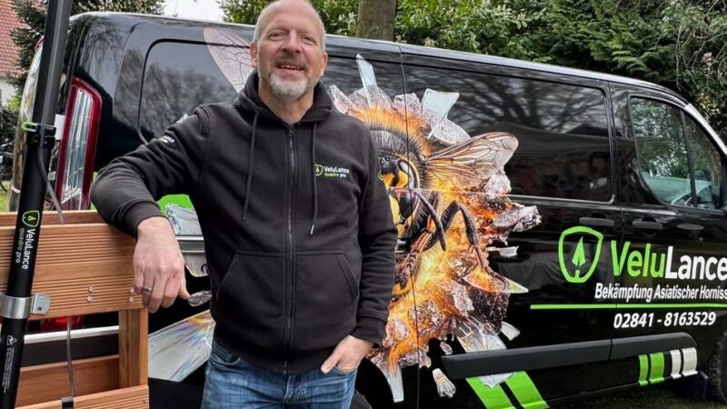 Bekämpfung der Vespa Velutina: Mit Wasserdampf gegen die asiatische Hornisse