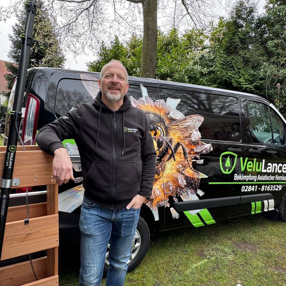 Bekämpfung der Vespa Velutina: Mit Wasserdampf gegen die asiatische Hornisse