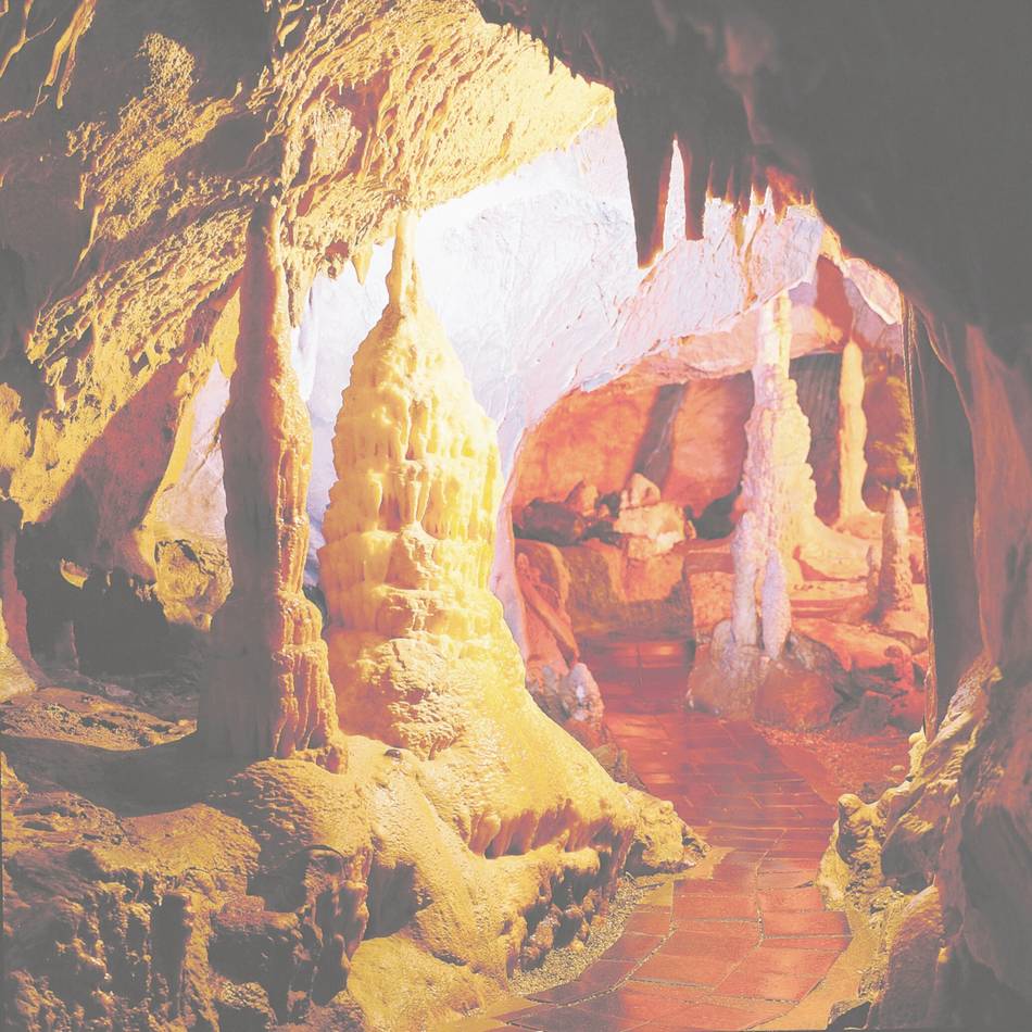 Bürgerverein Metzkausen auf Tour: Zwischen Tropfsteinhöhle und einer alten Hansestadt