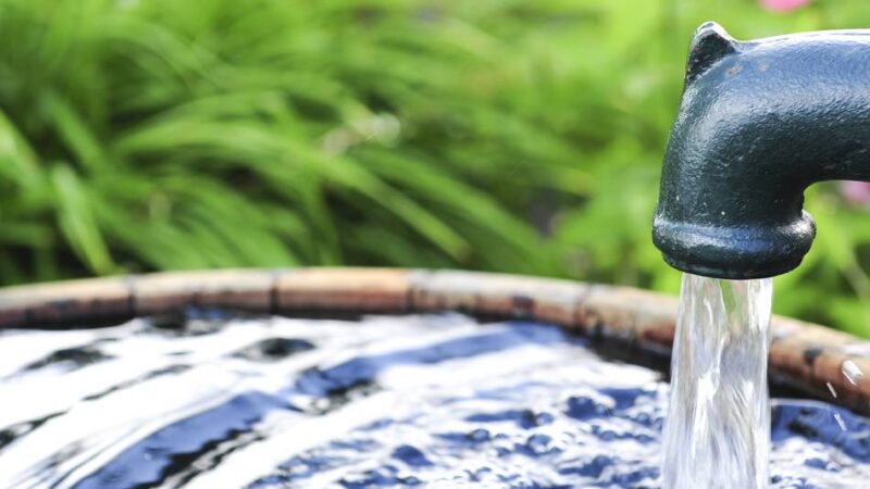 Altlasten in Neuss: Kreis nimmt vier belastete Flächen ins Visier