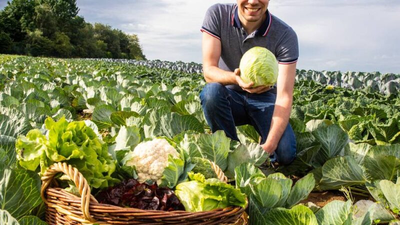 Neusser Projekt gestoppt: Wegen Diebstahl vorerst kein Selbsterntefeld mehr