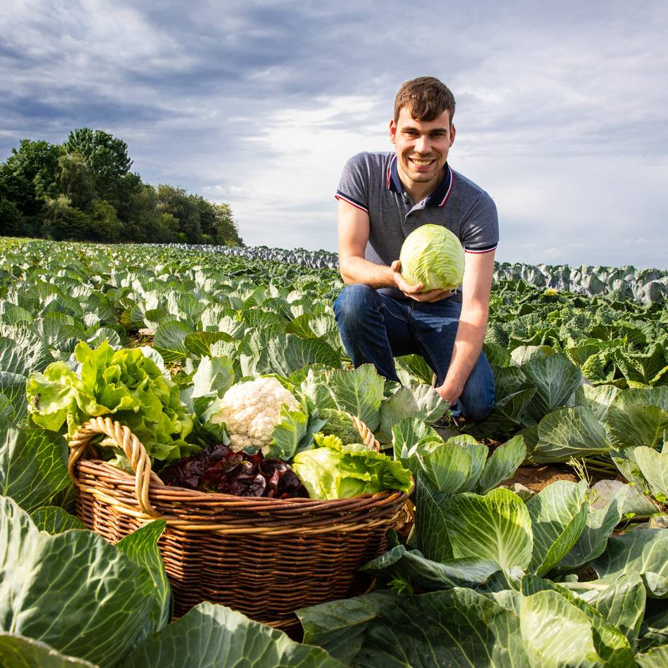 Neusser Projekt gestoppt: Wegen Diebstahl vorerst kein Selbsterntefeld mehr