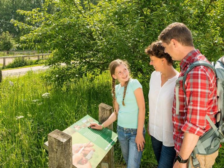 Naturschutz im Kreis Mettmann: Warum Spaziergänger jetzt auf den Wegen bleiben sollten