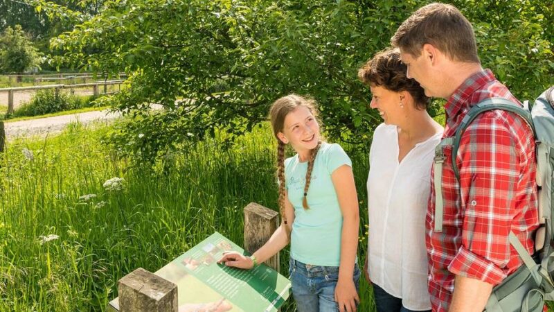 Naturschutz im Kreis Mettmann: Warum Spaziergänger jetzt auf den Wegen bleiben sollten