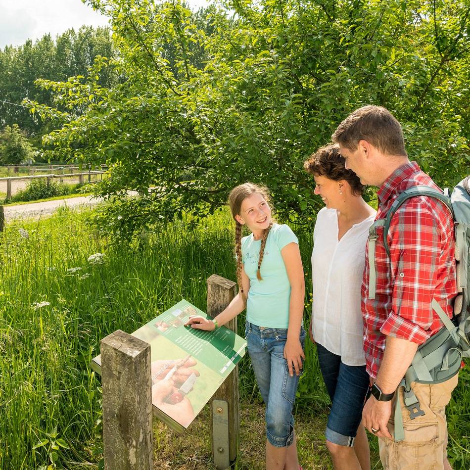 Naturschutz im Kreis Mettmann: Warum Spaziergänger jetzt auf den Wegen bleiben sollten