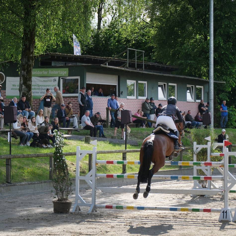 Große Resonanz: Reitvereine im Kreis Mettmann bündeln Kräfte für neue Turnierserie