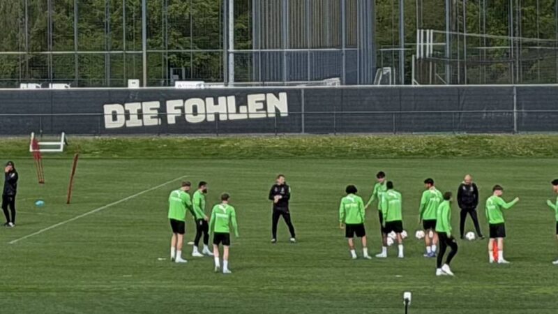 „Zu wenig Entwicklung“: So bewerten die Fans am Borussia-Park die Lage nach dem 1:1 gegen Mainz