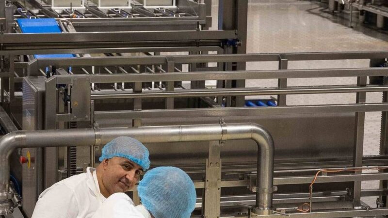 Aurora Kaas in Kranenburg: „Der Käse ist wie die Jahreszeiten: Er verändert sich“