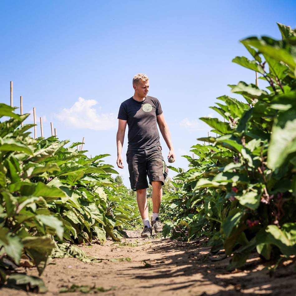 Diebstahl auf Dormagens Feldern: „Die Menschen werden wirklich kackendreist“ – Landwirte in Sorge