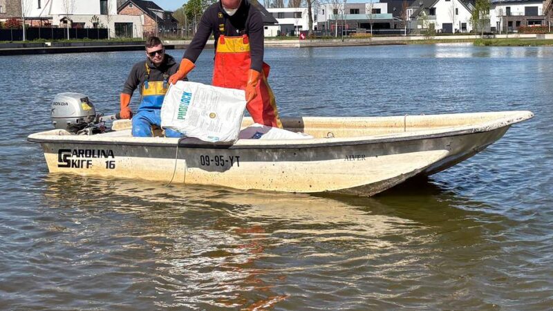 Im Baugebiet Neu-See-Land: Stadt Goch wird aktiv gegen Grünalgen im See