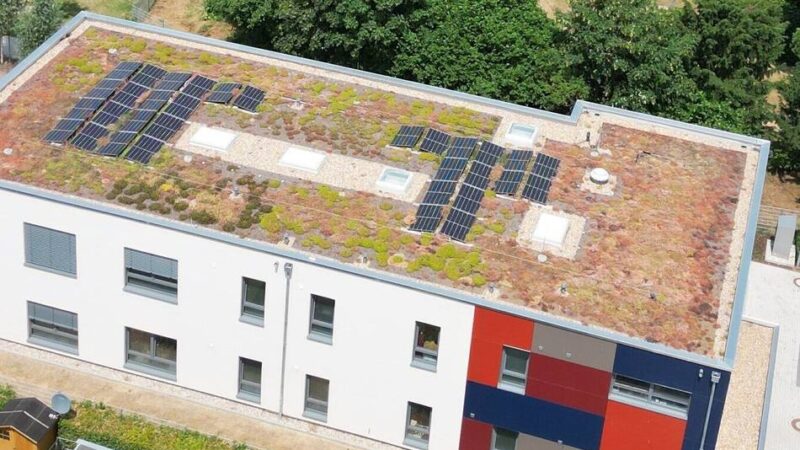 Kurs in Nettetal: Kinder aufs Geschwister-Sein vorbereiten