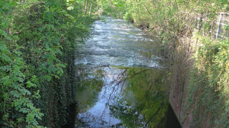 Im Moersbach in Rheinberg: Ertrunkene Frau – Polizei geht von einem Unglücksfall aus