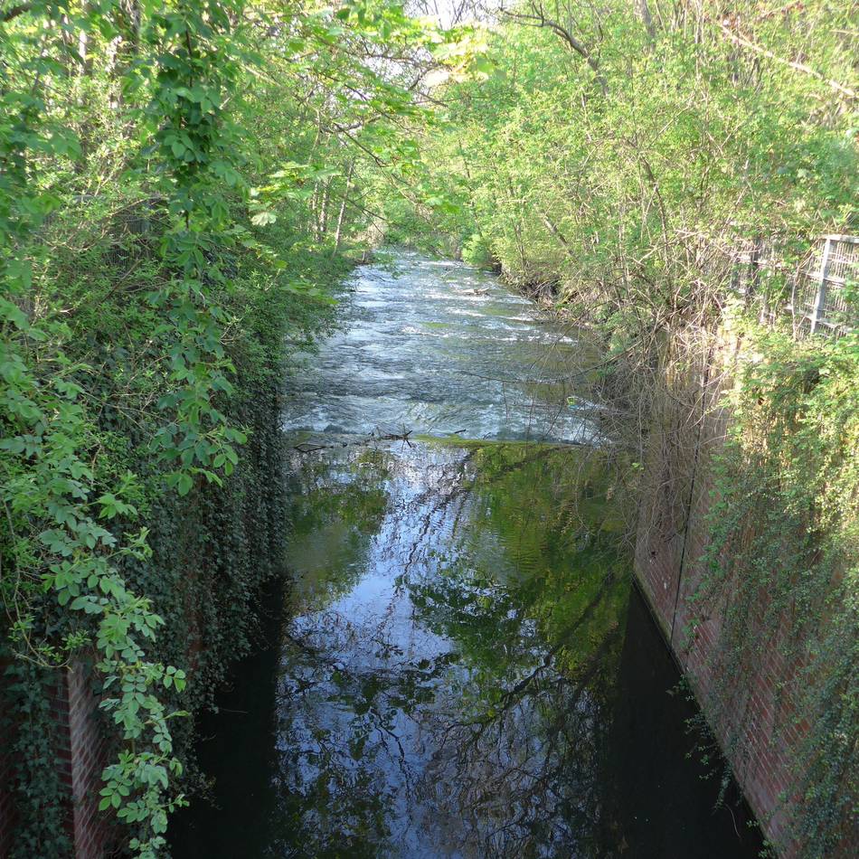 Im Moersbach in Rheinberg: Ertrunkene Frau – Polizei geht von einem Unglücksfall aus