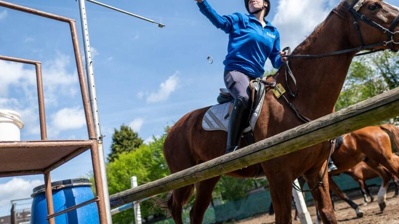 Mit großem Ringstechen: Werstener Schützen eröffnen Freiluft-Reitsaison