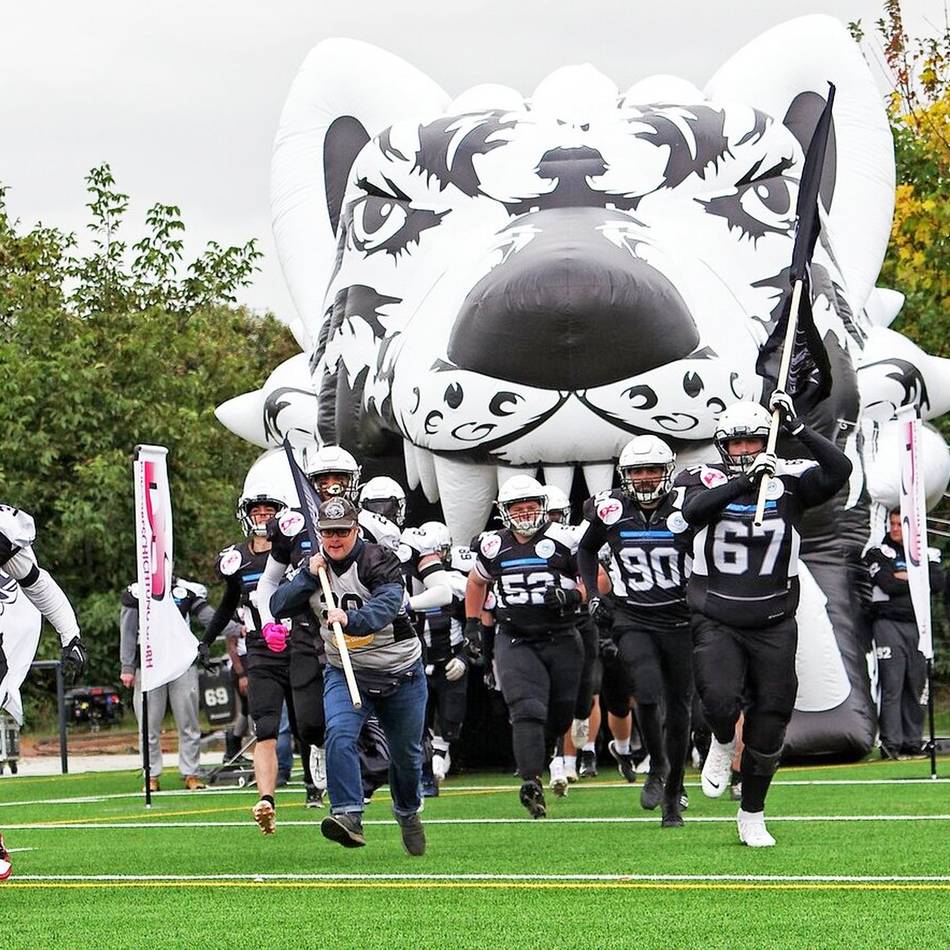 Rückzug wirbelt Liga durcheinander: Wolfpack startet mit hohen Ambitionen und Zwangspause in die Saison