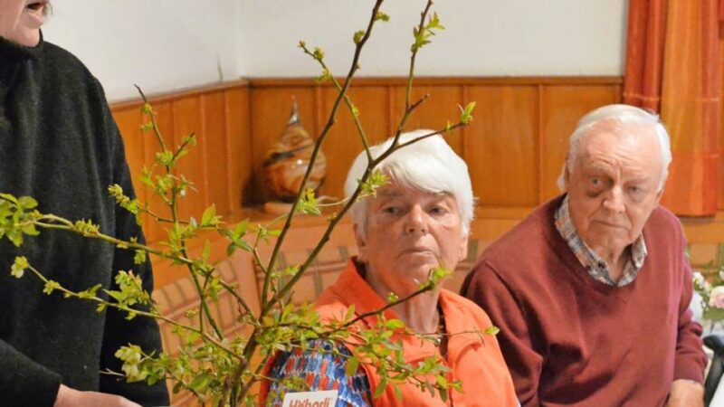 Expertin gab beim Obst- und Gartenbauverein Neviges viele Tipps rund ums Beerenobst: Bunte Himbeeren als gesunder Snack zu den WM-Spielen