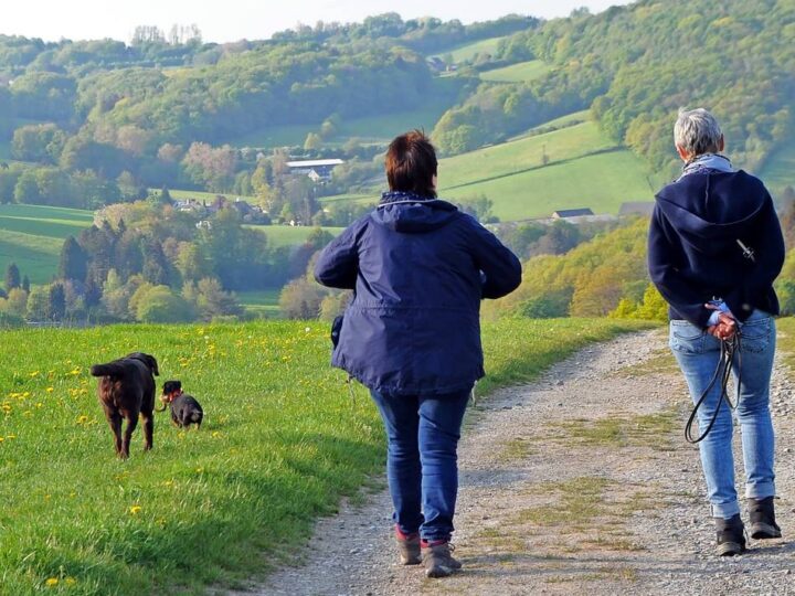 Die Neanderland-Wanderwoche hält spezielle Touren für kosmetisch interessierte Frauen und Hundeliebhaber bereit: Zu Fuß lassen sich viele Einblicke und Erfahrungen rund um Velbert sammeln
