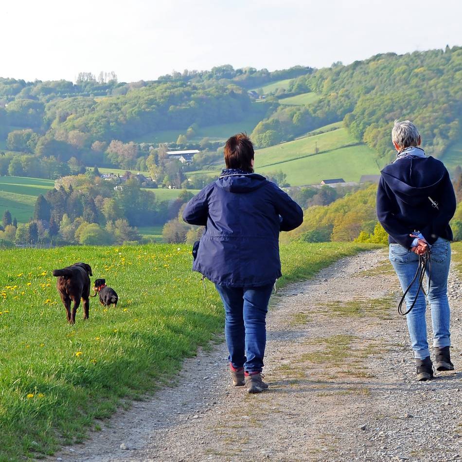 Die Neanderland-Wanderwoche hält spezielle Touren für kosmetisch interessierte Frauen und Hundeliebhaber bereit: Zu Fuß lassen sich viele Einblicke und Erfahrungen rund um Velbert sammeln