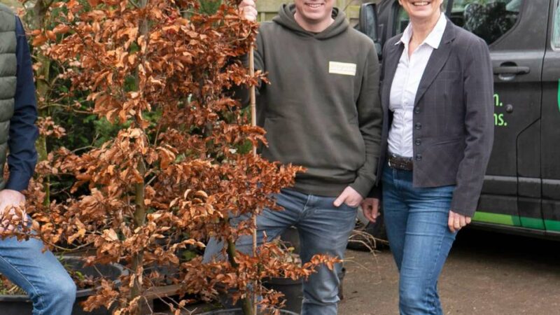 Gartenbaubetrieb Steegmann  in Wetten: So hilft der Einsatz von KI im Gartenbau