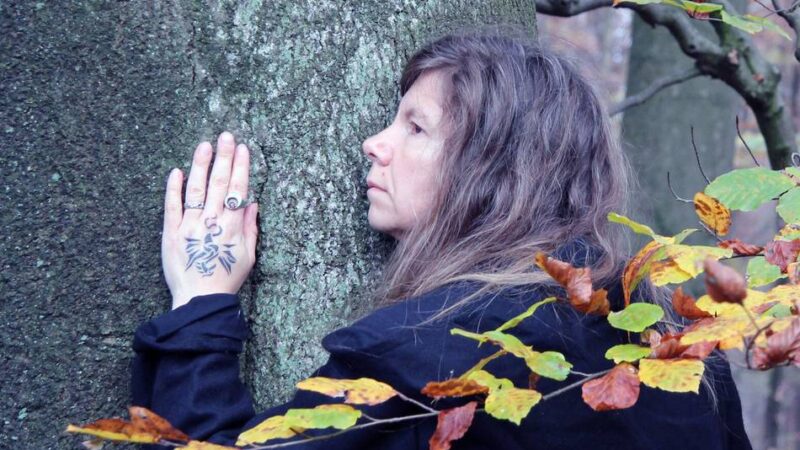 Spaziergang im Neandertal: Führung zeigt die faszinierende Welt der Bäume