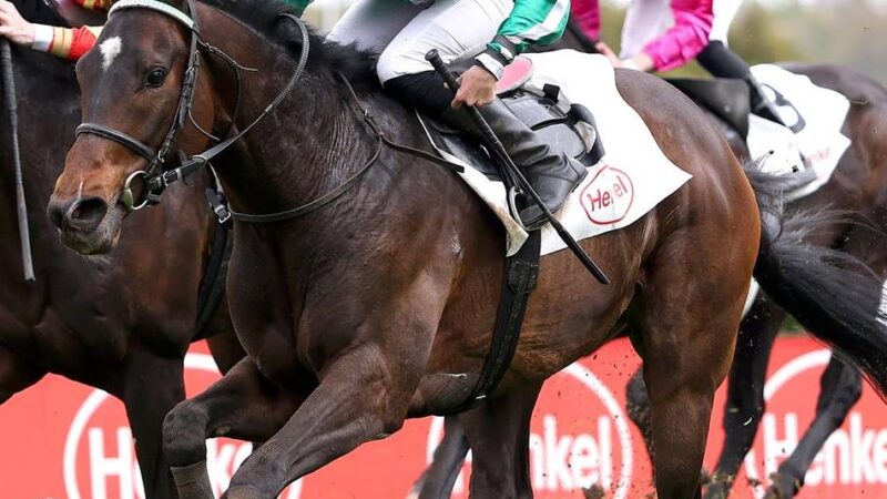 Außenseitersieg auf der Grafenberger Bahn: New Emerald triumphiert überraschend in der Frühjahrs-Meile