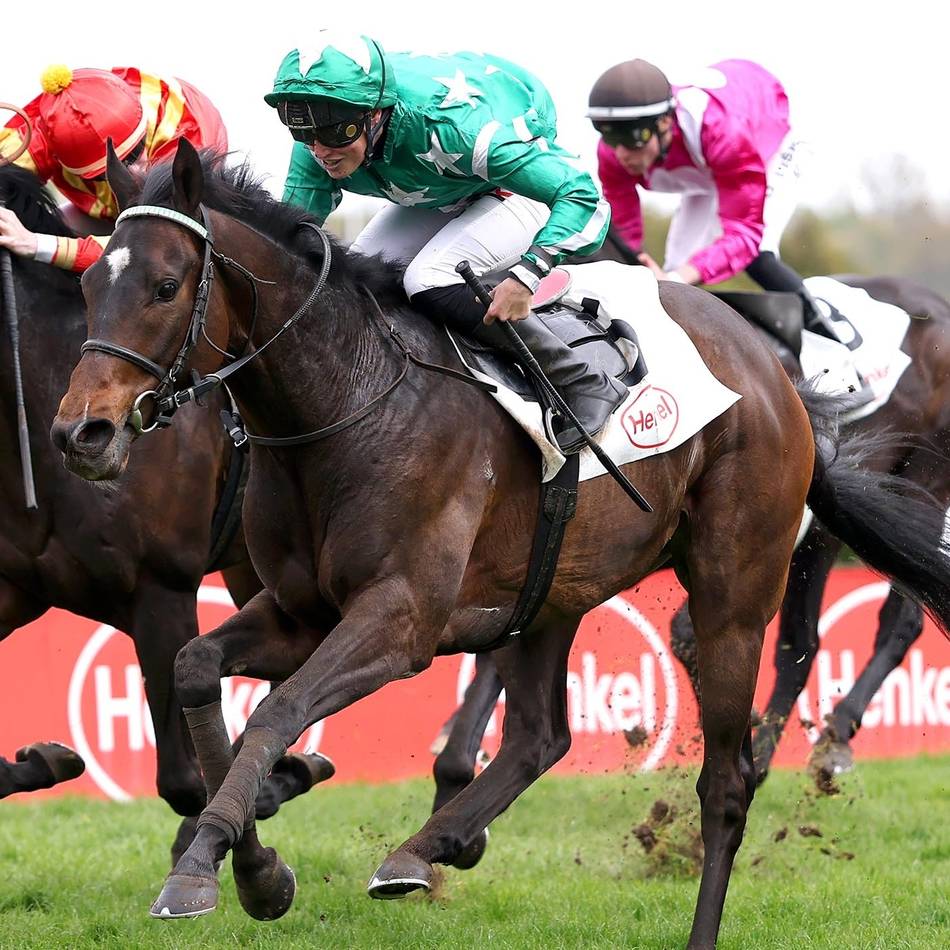 Außenseitersieg auf der Grafenberger Bahn: New Emerald triumphiert überraschend in der Frühjahrs-Meile