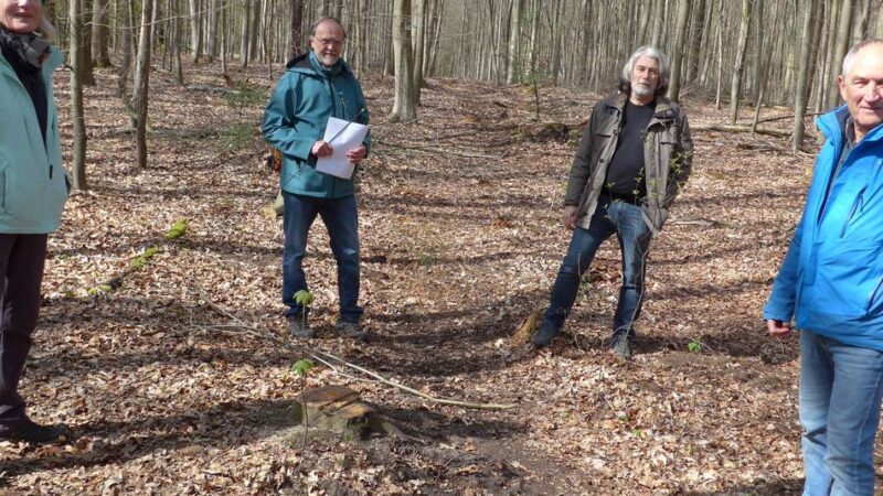 Bürgerinitiative und RVR ringen um das Naherholungsgebiet: Um den Baerler Busch wird wieder gestritten