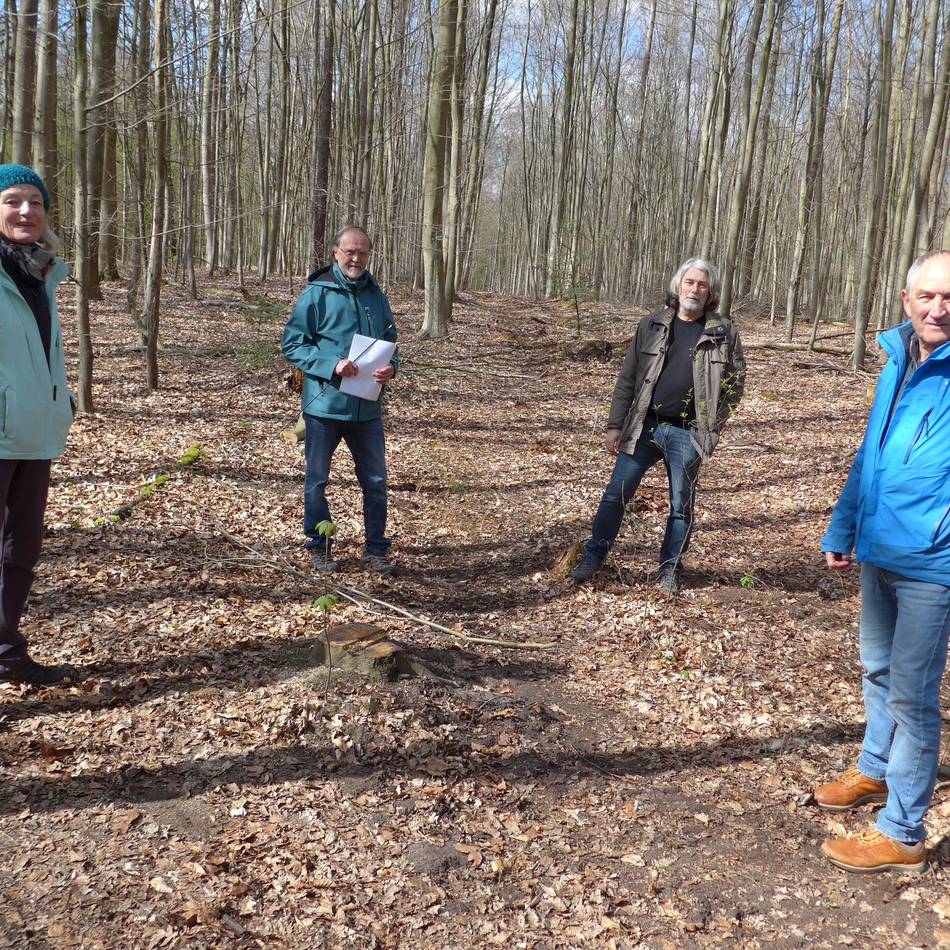 Bürgerinitiative und RVR ringen um das Naherholungsgebiet: Um den Baerler Busch wird wieder gestritten